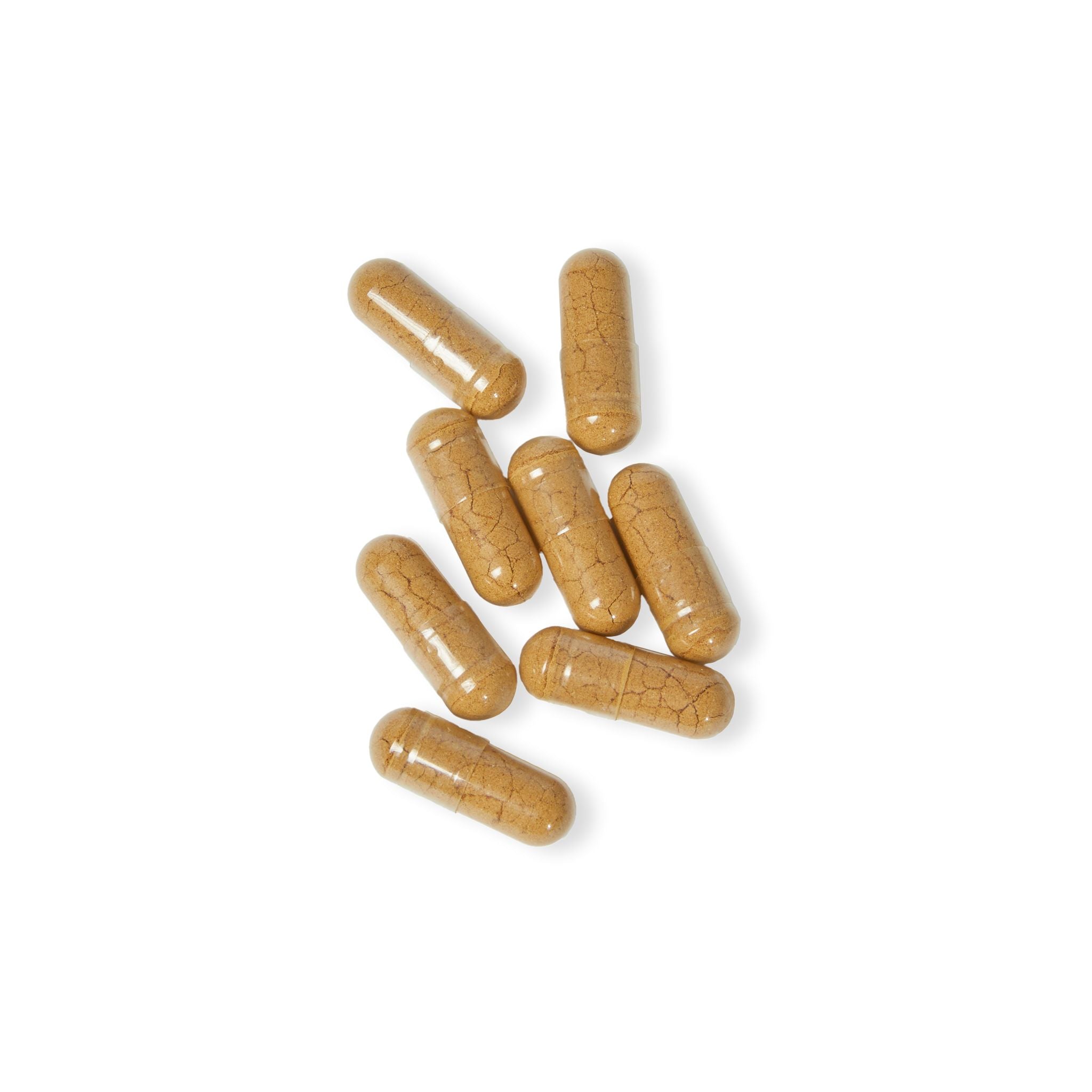 PureMushroom: Mushroom Blend Supplement (60 Capsules)